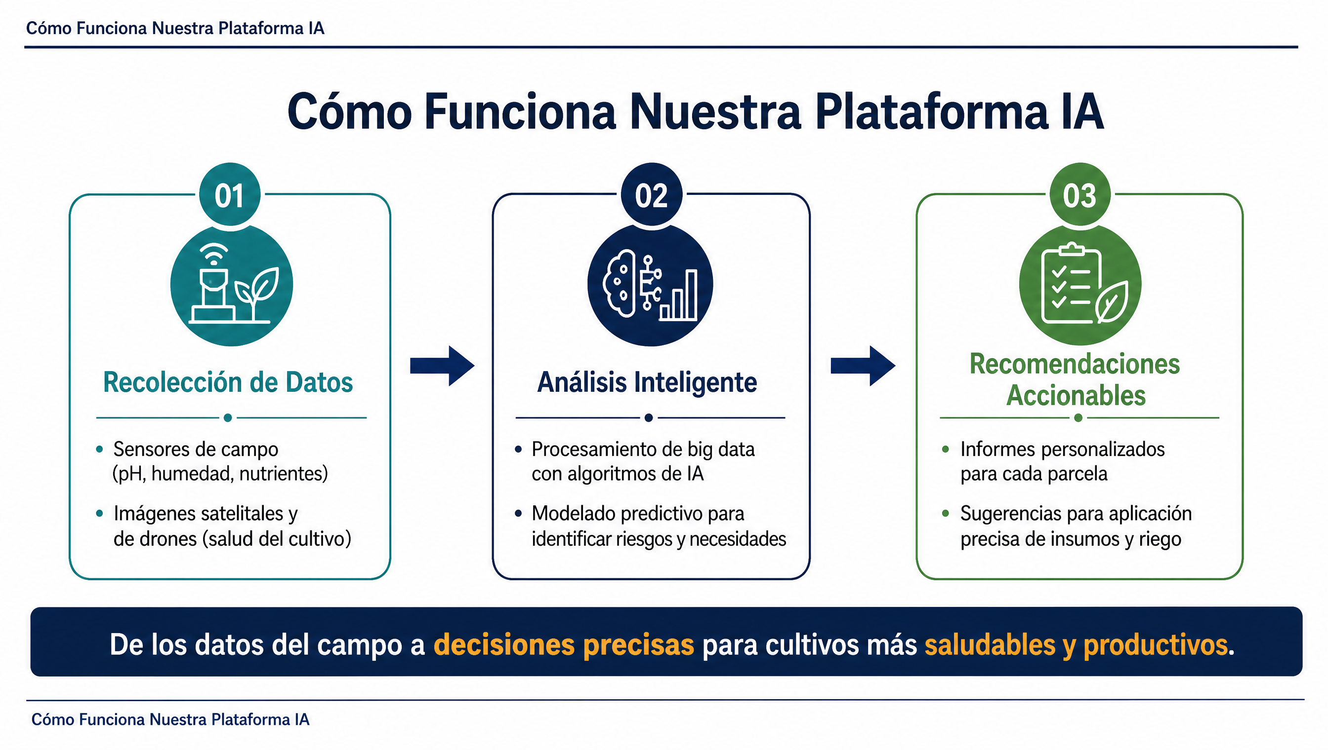 Cómo Funciona Nuestra Plataforma IA