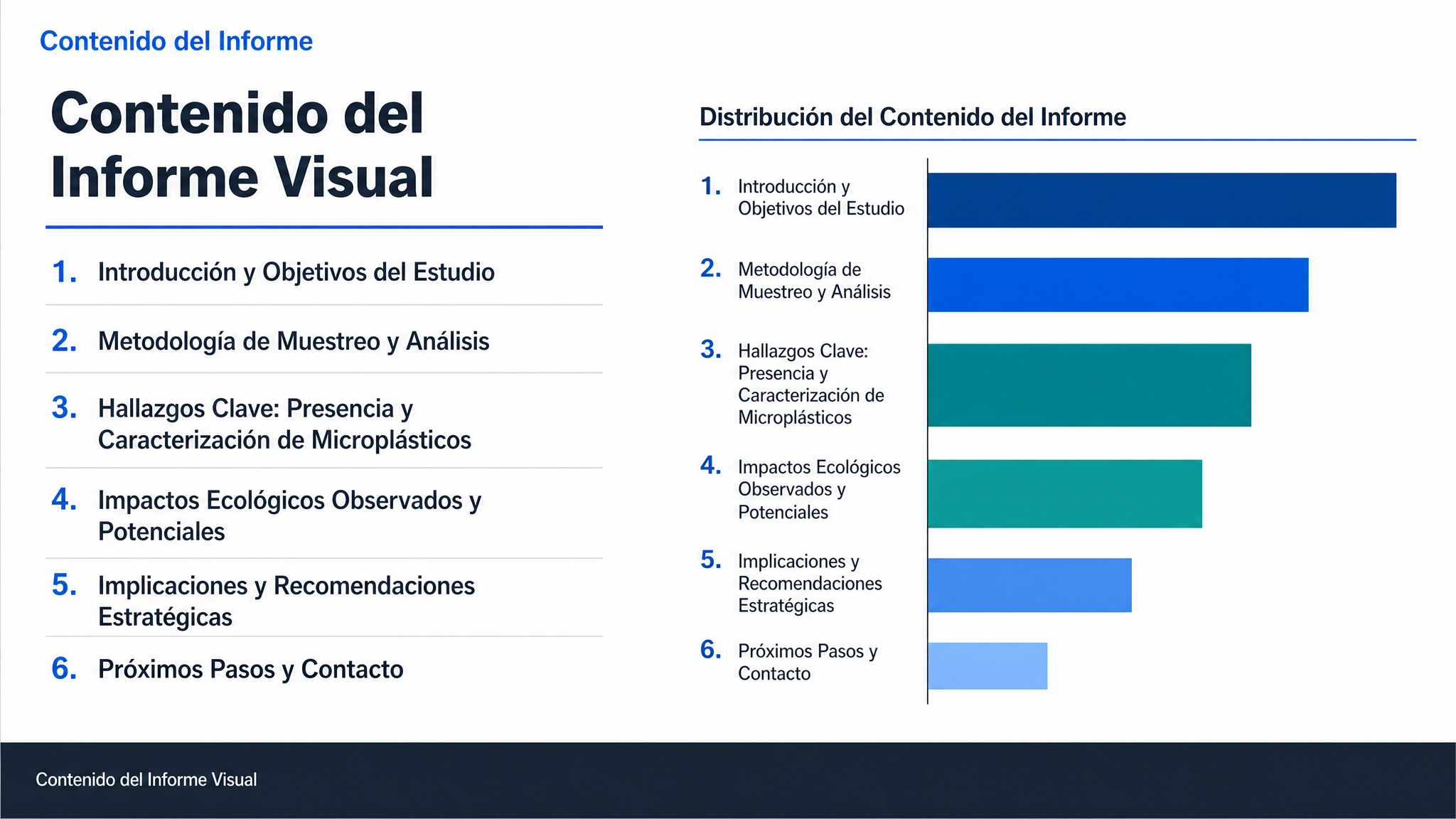 Contenido del Informe Visual