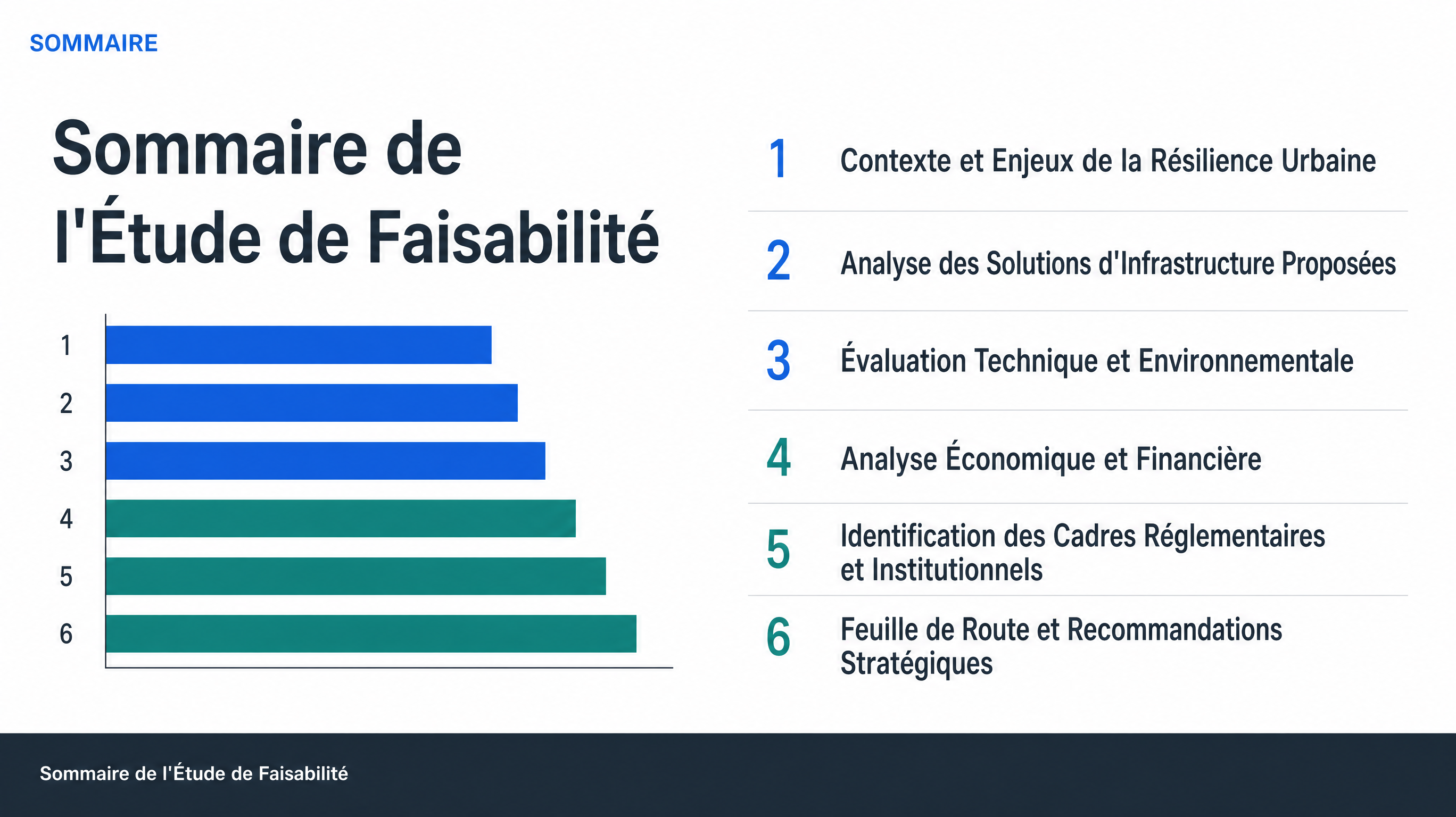 Sommaire de l'Étude de Faisabilité